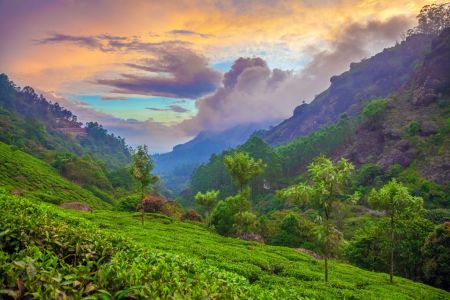 Top Hidden Destinations Near Mangalore for Nature Lovers - Sayara Tours and Travels