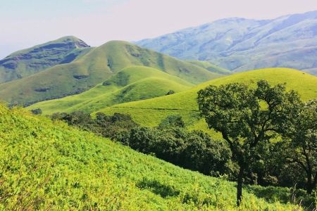 Top Hill Stations to Visit Near Mangalore - Sayara Tours and Travels