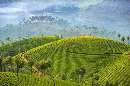 Munnar